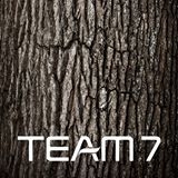 TEAM 7