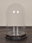 Античный французский стеклянный купол / Antique French Glass Dome