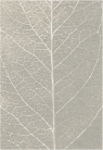 Ковер FOGLIA / Carpet FOGLIA
